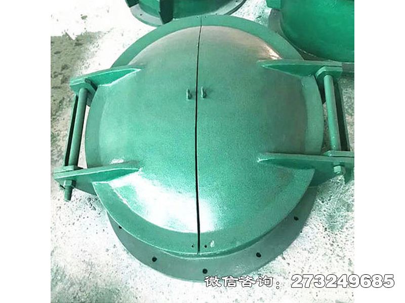 宿迁双开式玻璃钢拍门