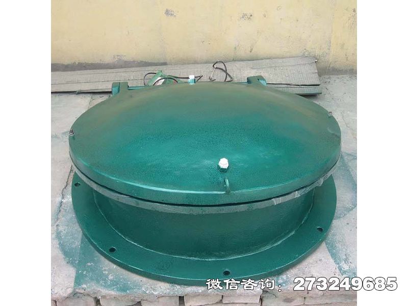怀化玻璃钢止水拍门