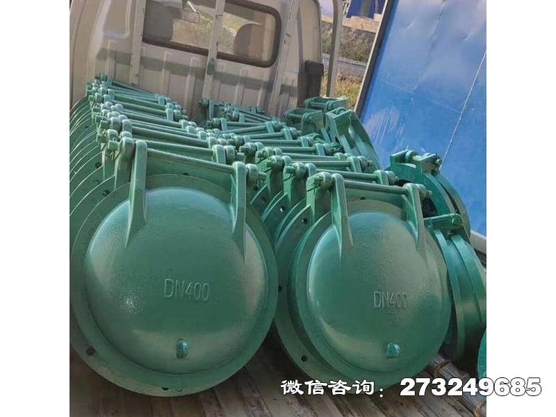 咸阳排污口玻璃钢拍门