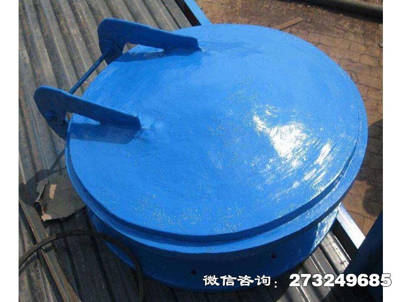 宿迁复合材料防倒灌拍门