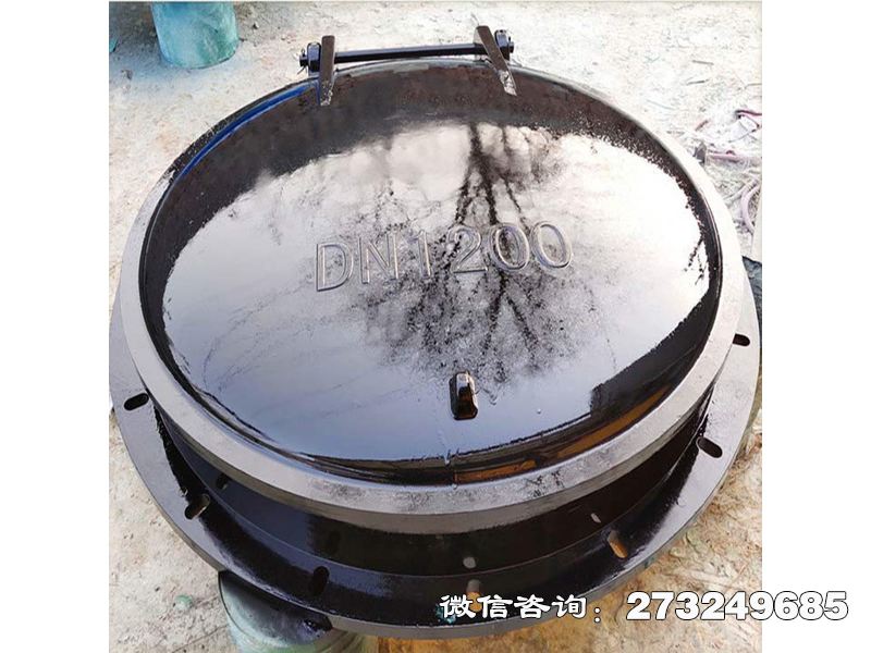 白山防倒灌玻璃钢拍门