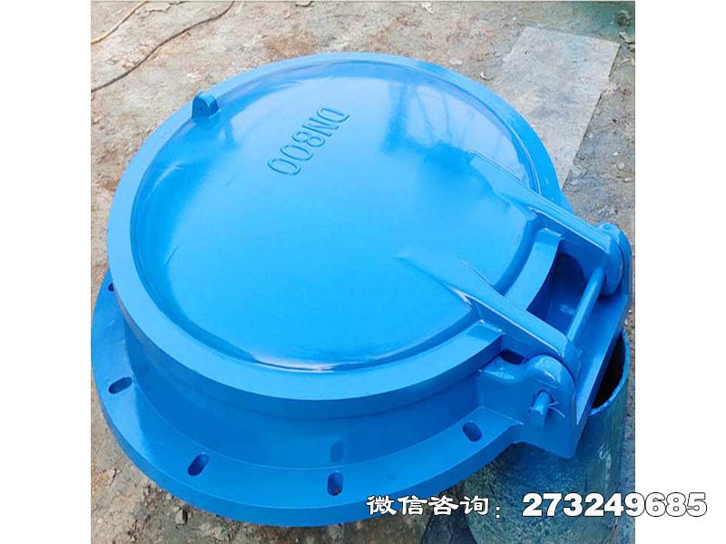 宿迁单向水流控制拍门