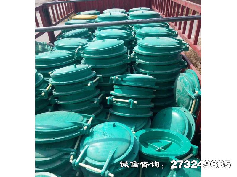 宿迁浮箱式玻璃钢拍门