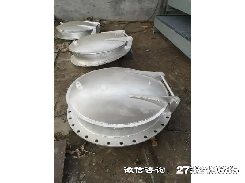 景德镇防止洪水倒灌不锈钢拍门