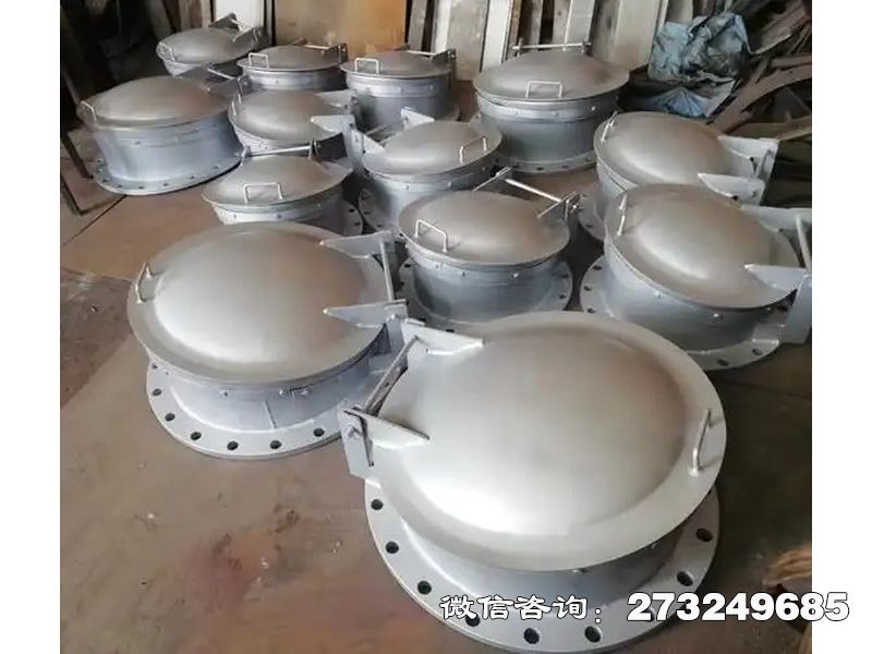 雅安堤坝泄洪不锈钢拍门