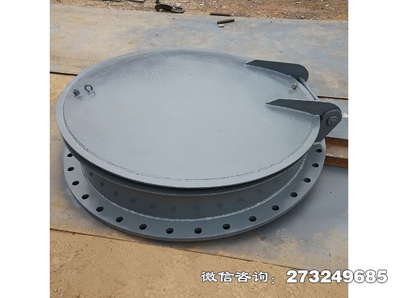 雅安泵站防逆流不锈钢拍门