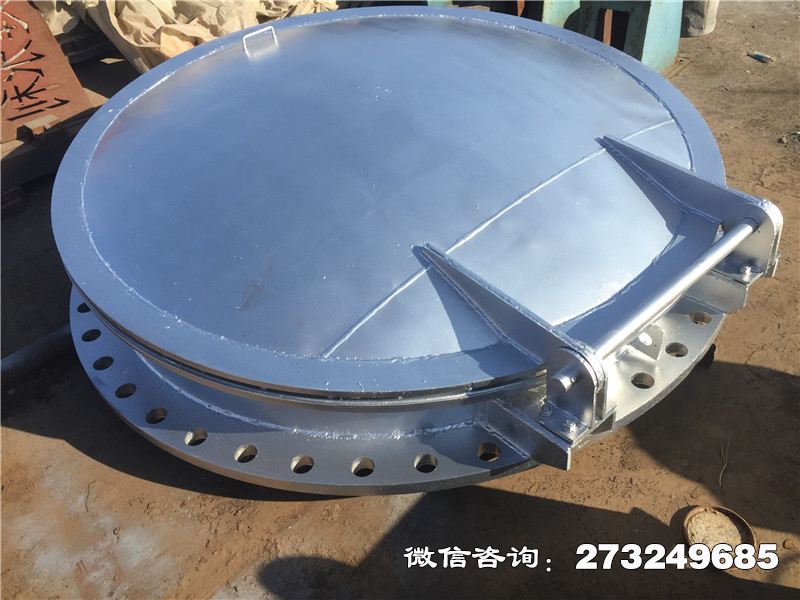 焦作不锈钢止回拍门