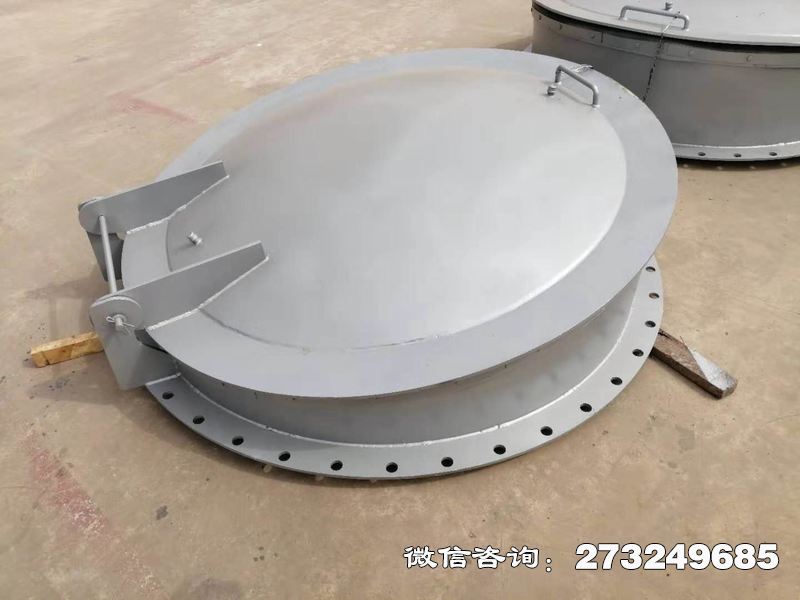 昭通不锈钢逆止拍门