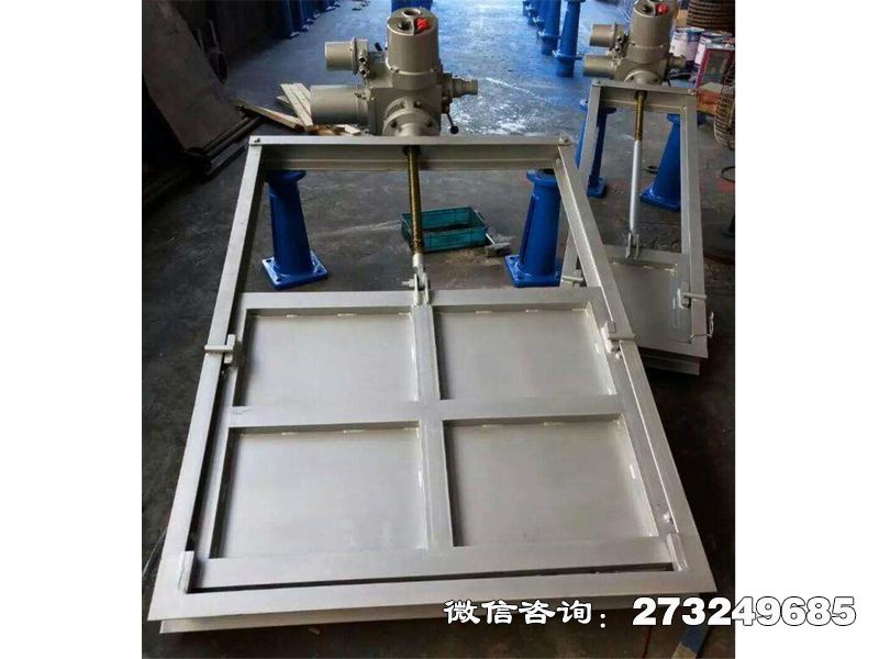 池州316L不锈钢机闸一体闸门