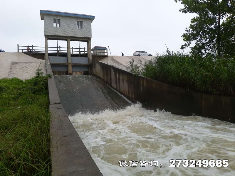 海北堤防排水泵站闸门