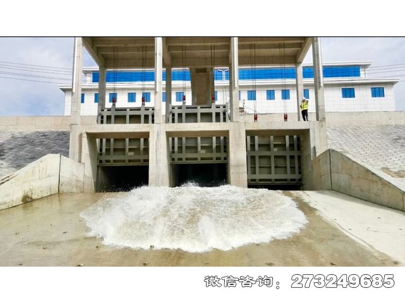 咸阳应急排涝泵站闸门