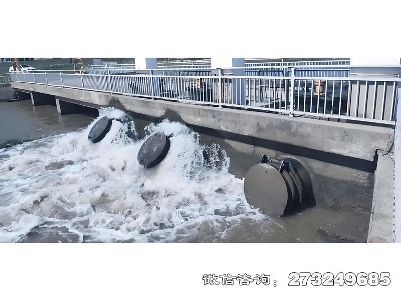 雅安内河潮门拍门