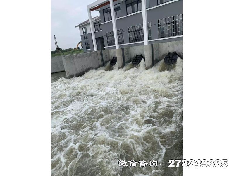 雅安防潮堤潮门拍门