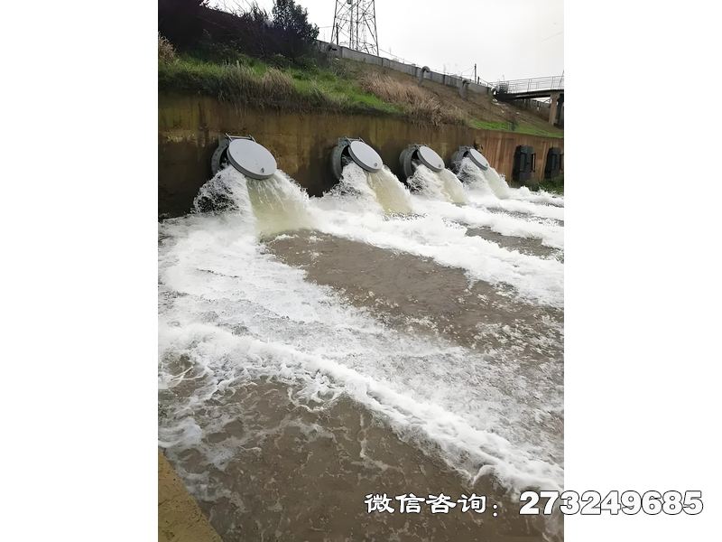 雅安排水管网末端潮门拍门