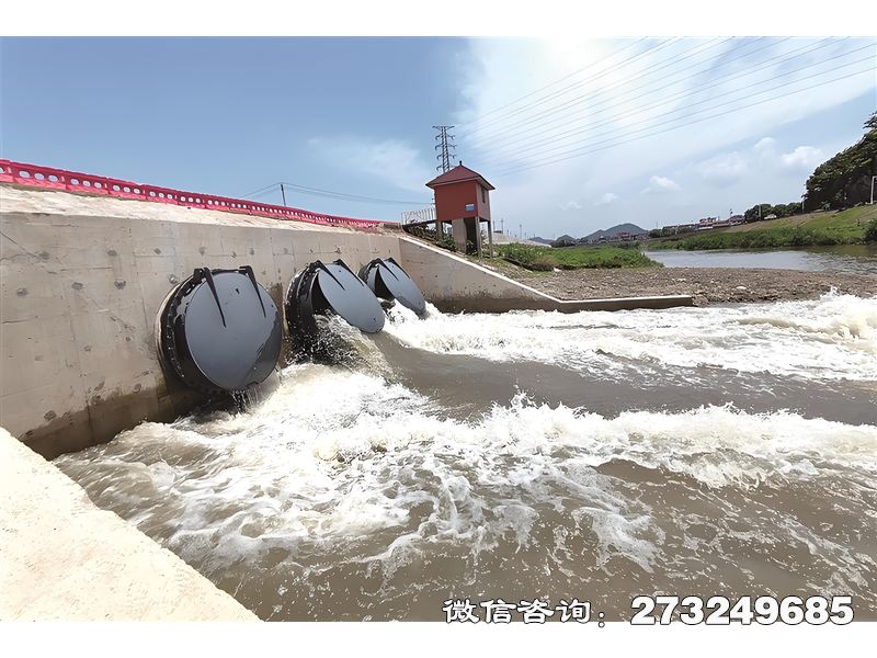 雅安蓄滞洪区潮门拍门