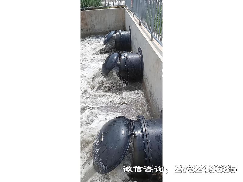 郑州污水处理厂潮门拍门