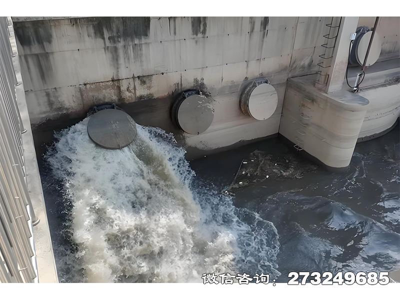 池州隧道排水口潮门拍门