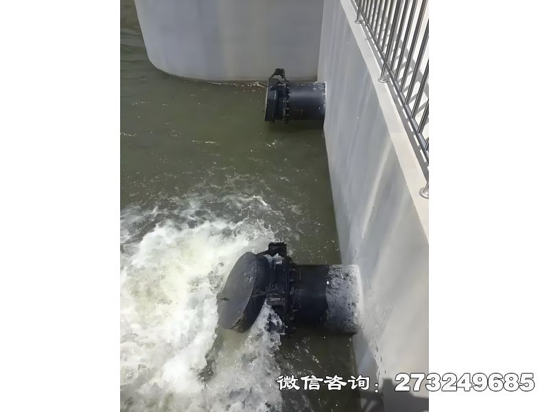 咸阳河道潮门拍门