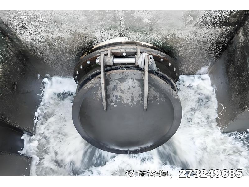 昭通河道排水潮门拍门