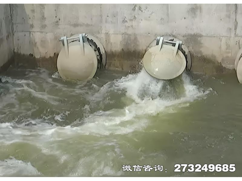 昭通河道生态护岸排水潮门拍门