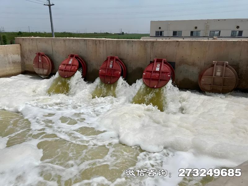 昭通河口整治工程潮门拍门