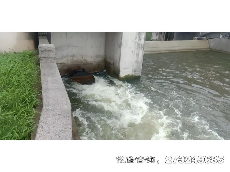 昭通海塘防潮闸潮门拍门