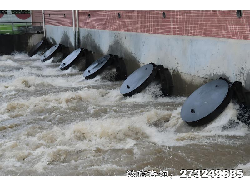 昭通灌溉渠首水闸潮门拍门