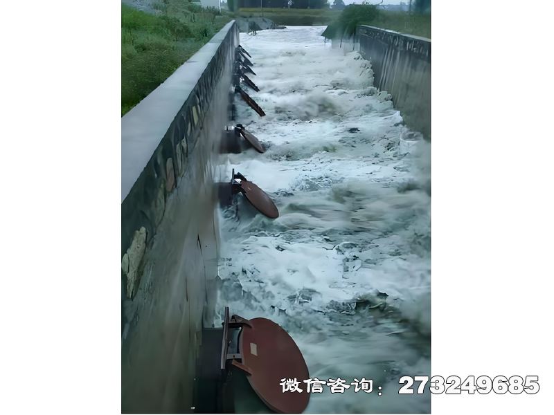 昭通进出口潮门拍门