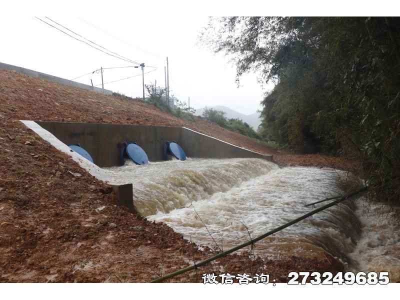 昭通堤坝防潮拍门