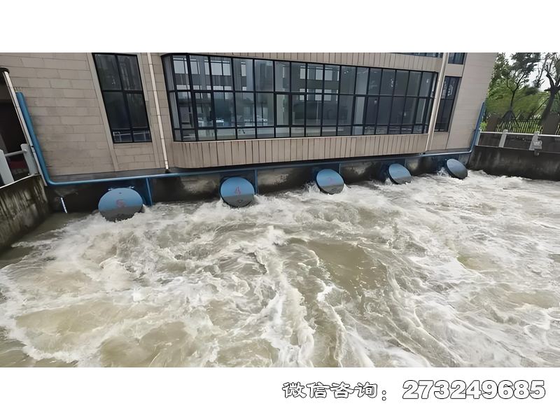 濮阳海防工程拍门