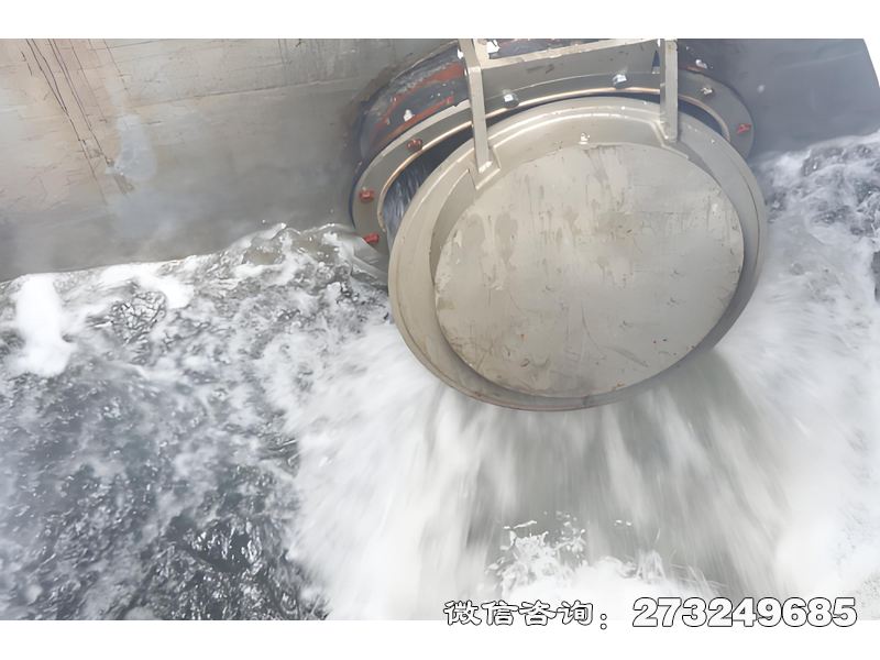 濮阳海堤排水拍门