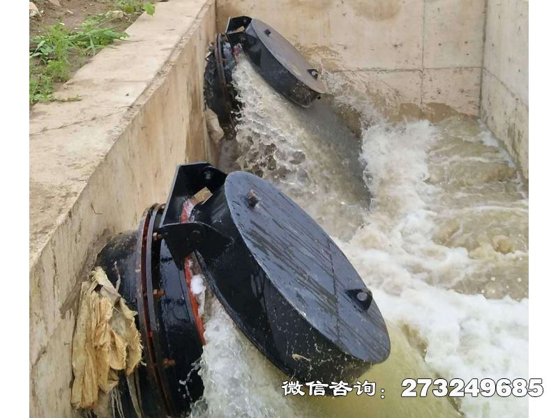 怀化海水防倒灌拍门