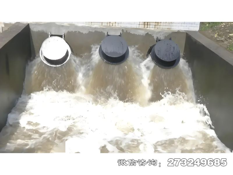 怀化河口防潮拍门