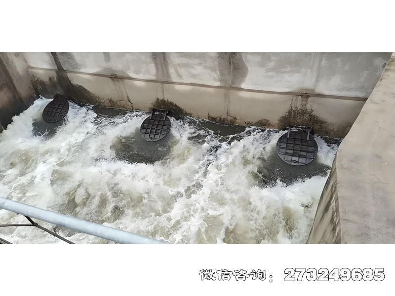 怀化海水养殖排水拍门