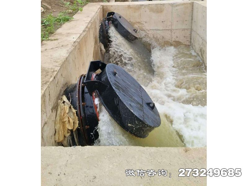 阜新水库潮门拍门