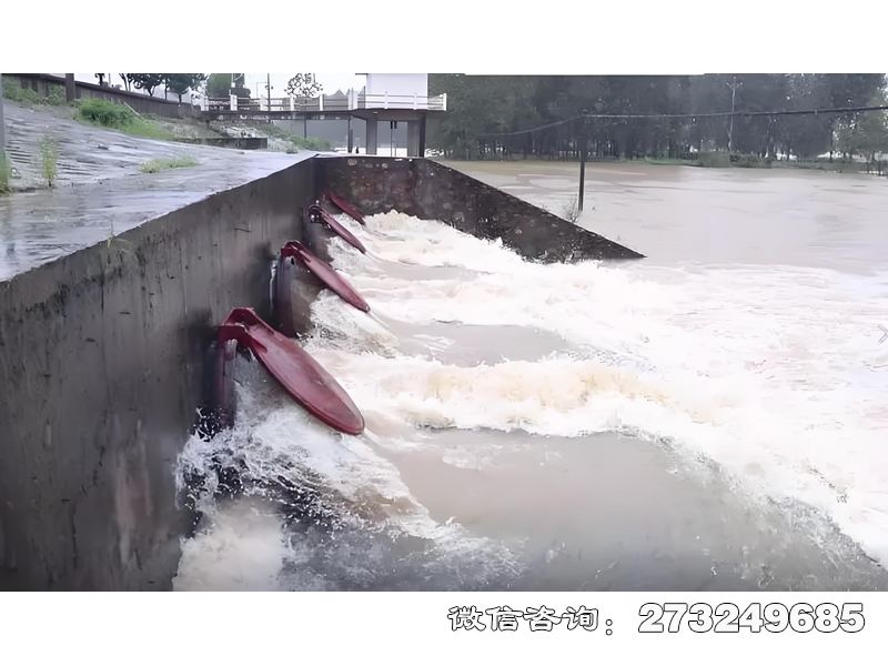 雅安城市排水系统潮门拍门