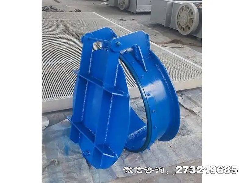 金华水库钢制防倒灌拍门
