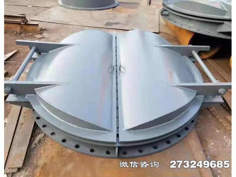天门防潮钢制海堤拍门
