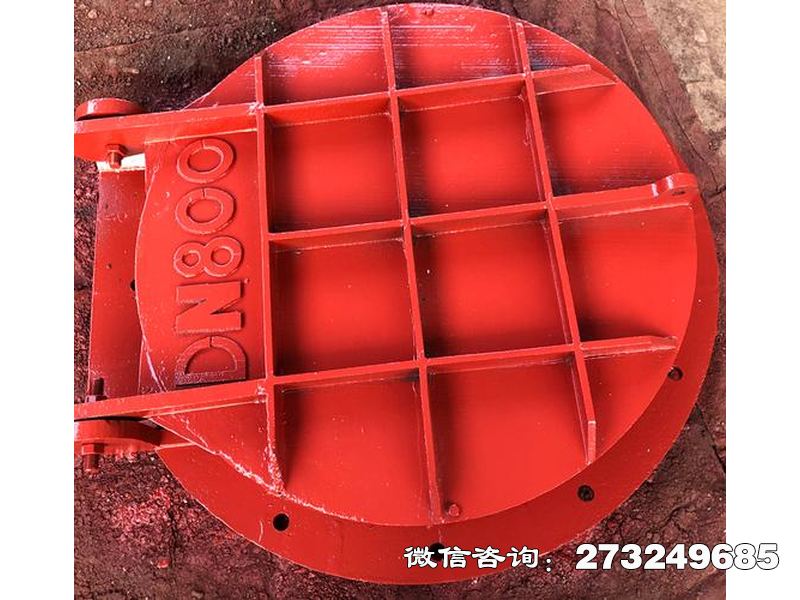 天门止回钢制管道拍门