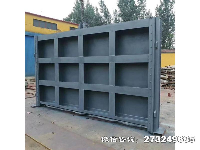 毕节水务局钢制防洪闸门