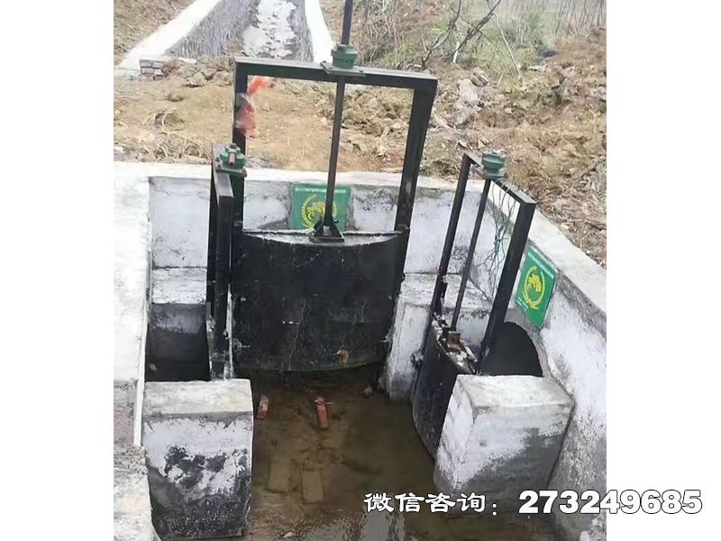 张家界分水灌渠机闸一体闸门