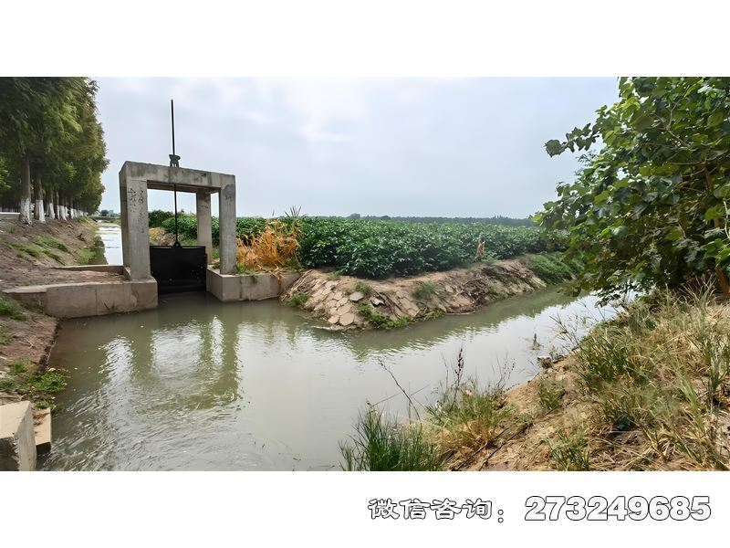 白山排涝水口闸