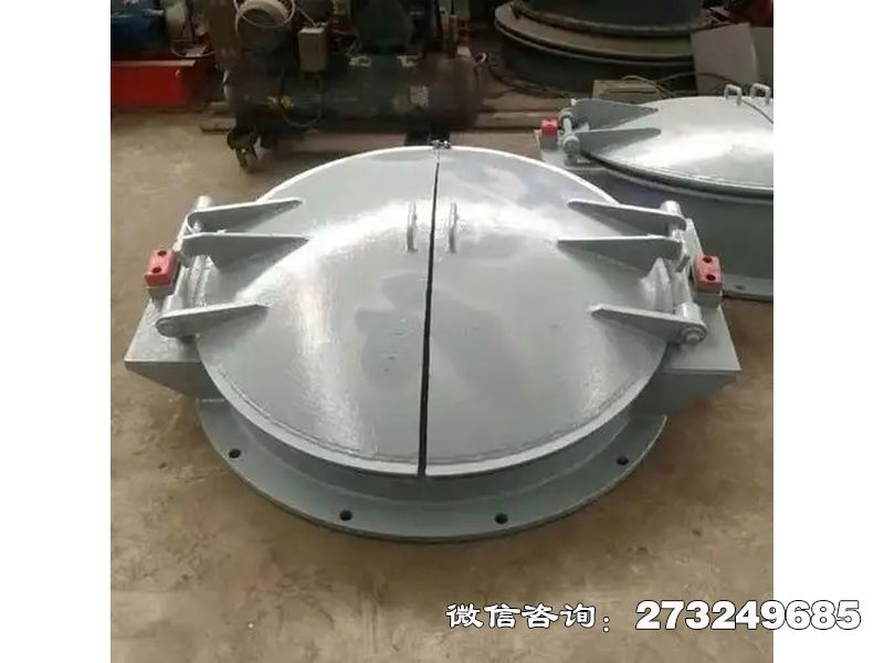 临沂铸铁圆型导流拍门