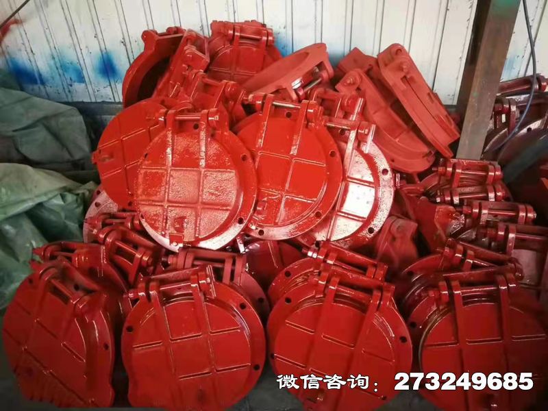 攀枝花铸铁圆形泵站拍门