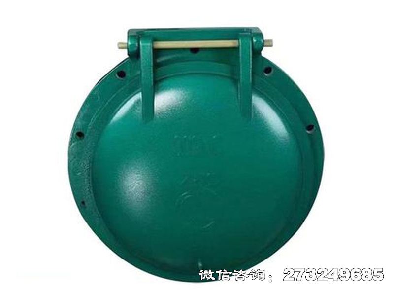 昭通铸铁圆型潮汐防倒灌拍门