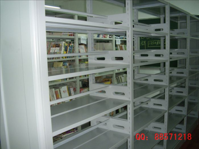 钢制结构图书架,双层钢制图书柜
